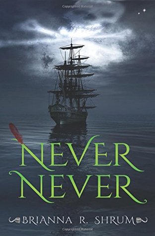 Never Never by Briana Shrum book cover