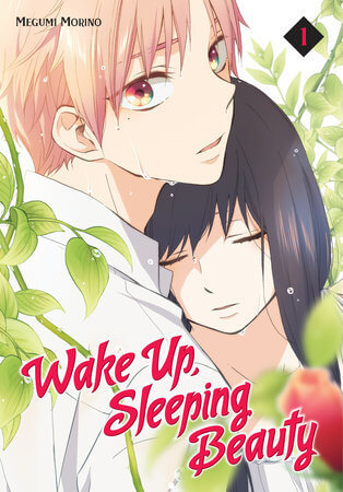 Wake Up, Sleeping Beauty by Megumi Morino book cover